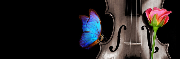 violin, pink rose and bright blue tropical morpho butterfly on black. copy space - Powered by Adobe