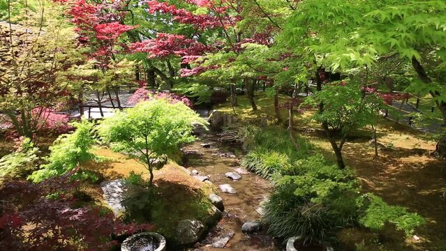 Traditional zen garden in spring season. Eikan-do Temple or Zenrin-ji belongs to the Jodo sect of Japanese Buddhism. Eikando is a popular landmark and Zen Temple in Kyoto, Japan.