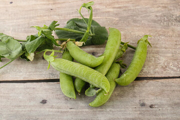 Ripe green pea - organic pant