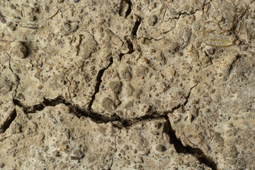 The ground has cracks in the top view for the background or graphic design with the concept of drought and death