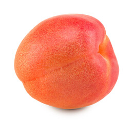 apricot fruit isolated on white background. clipping path