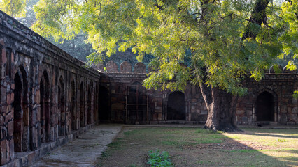 old Indian ruins and tree