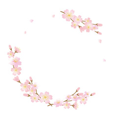 Fototapeta na wymiar Vector frame illustration of cherry blossom branches