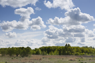 Bright early spring landscape with fluffy clouds in blue sky with sunbeams abow green forest and pasture with dry plants. Beautiful outdoors nature.