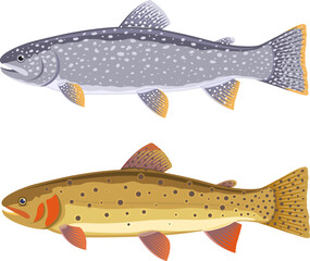 Set of two fish, lake trout and cutthroat trout, isolated