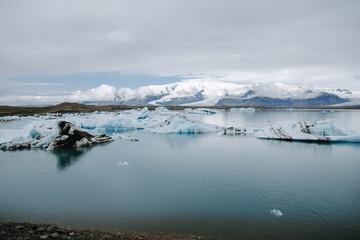 Many icebergs and ice floes in the glacial lagoon jökulsárlón in iceland, which has broken away from the glacier tongue breiðamerkurjökull. With a view of Vatnajökull in the background.