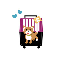 The funny little corgi is sitting in his dog carrier. The dog case is black and violet.
