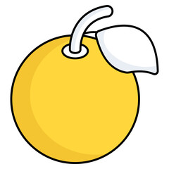 Modern design icon of orange 