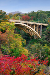 Ofukazawa highway bridge spanning over Naruko Gorge with autumn foliage taken from the Narukokyo Resthouse, at the end of the Naruko Gorge Walking Trail in Miyagi Prefecture, Japan.