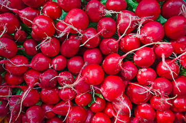 Beautiful red pattern of carrot root on the heap
