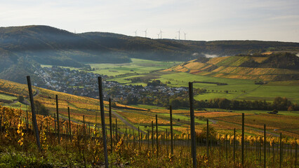 Sunrise over the wine hills.