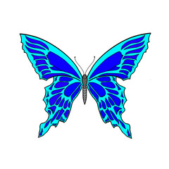 Fototapeta premium Ilustration of a butterfly with color 