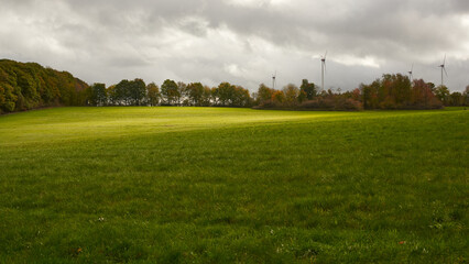 grass and blue sky