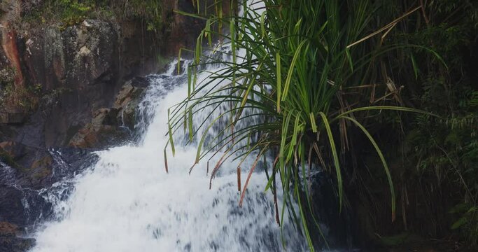 Datanla waterfall in southern Vietnam