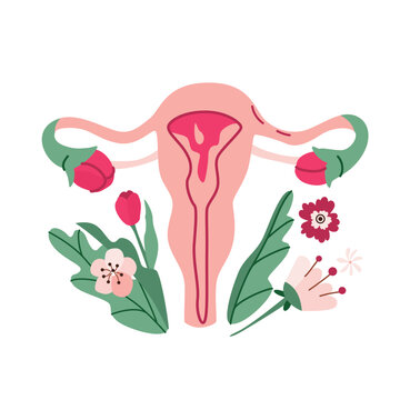 Uterus organ reproductive system with flowers, female nature. Womens