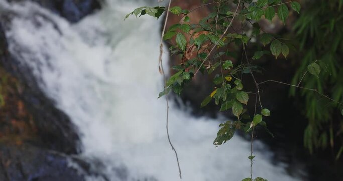 Datanla waterfall in southern Vietnam