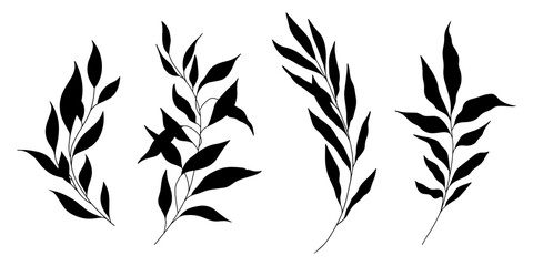 Minimal tree branches with leaves silhouette. Branches collection. Hand drawn decorative elements. - Vector illustration © raptorscollective