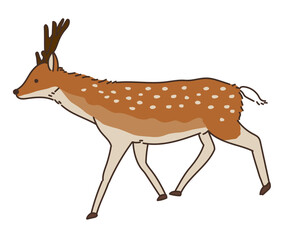 鹿　シカ　しか　ジビエ　イラスト