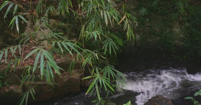 Datanla waterfall in southern Vietnam