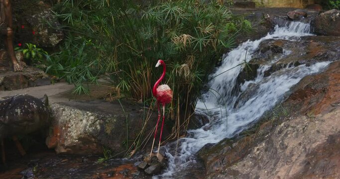 Datanla waterfall in southern Vietnam