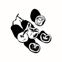 Abstract contemporary mid century modern ink boho black k illustration. Hand drawn trendy vector posters, illustrations for print.