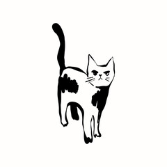 Abstract contemporary mid century modern ink boho black k illustration. Hand drawn trendy vector posters, illustrations for print.