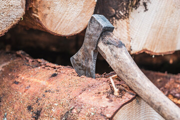 Eine Axt steckt in einem Baumstamm