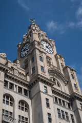 Fototapeta premium The Liver Bird on top of the Liver Building in Liverpool