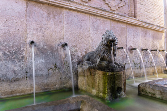 Night photo, ornamental fountain in the shape of a lion in Albaida, Valencia (Spain)