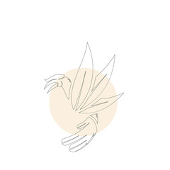 Minimalist bird line art logo