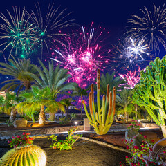 New years fireworks display over the tropical flora of Gran Canaria, Spain.