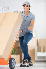 professional female mover doing home relocation - obrazy, fototapety, plakaty