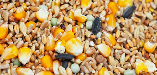Mix of corn and seeds for cooking