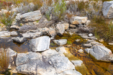some rocks along a small water pool in the mountains near Porterville in the Western Cape of of South Africa