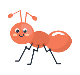 orange ant insect animal