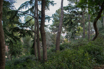 Park Guell in Barcelona, Spain.The famous Park Guell.park guell columns and viaducts.park guell building