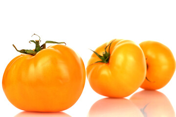 Three natural yellow tomatoes, close-up, on a white background.