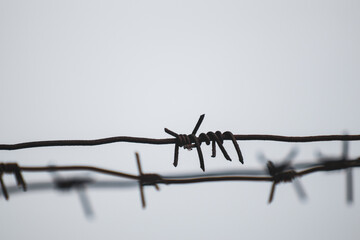 Barbed sharp metal wire on a gray background