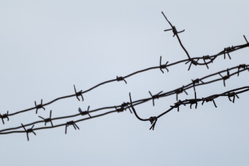 Barbed sharp wire on a gray background