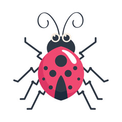 ladybug insect garden © Gstudio