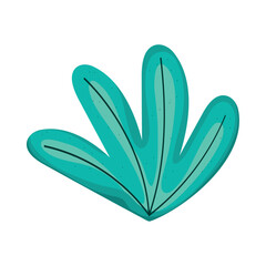 leaves plant foliage