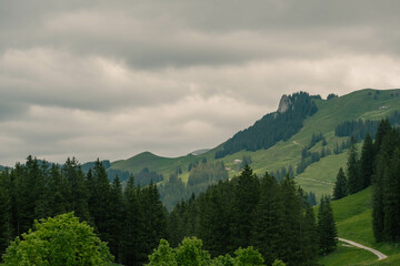 Swiss alps green view cloudy day