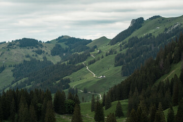 Green swiss alps cloudy day