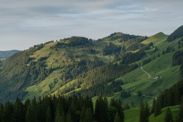 Swiss alps green landscape sunlight