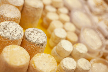 Different types of cheese for the festive New Year's table