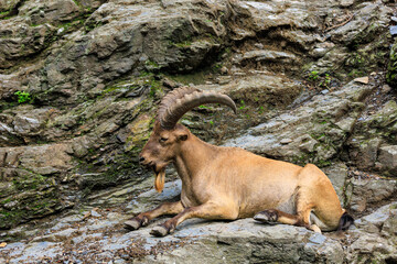 Dagestan tour. Background with selective focus and copy space