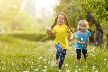 Fototapeta premium two little girls with dandelions little sister on the background of spring meadow.