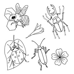 Clipart of vector insects for children's coloring book. Illustration of a stag beetle, a ladybug on a leaf, a bee on a honeycomb, and flowers