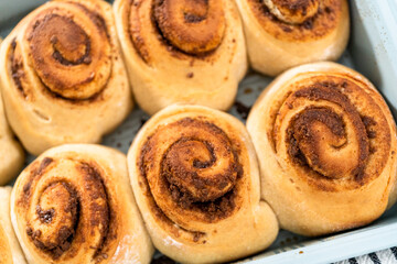 Cinnamon rolls