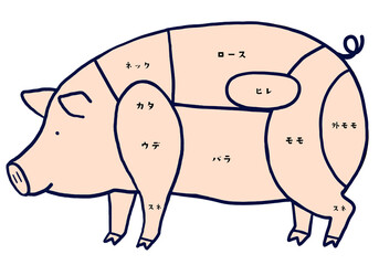 豚肉の部位